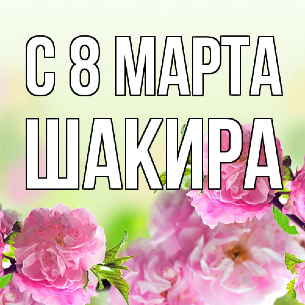 Открытка на каждый день с именем, Шакира C 8 МАРТА цветы Прикольная открытка с пожеланием онлайн скачать бесплатно 