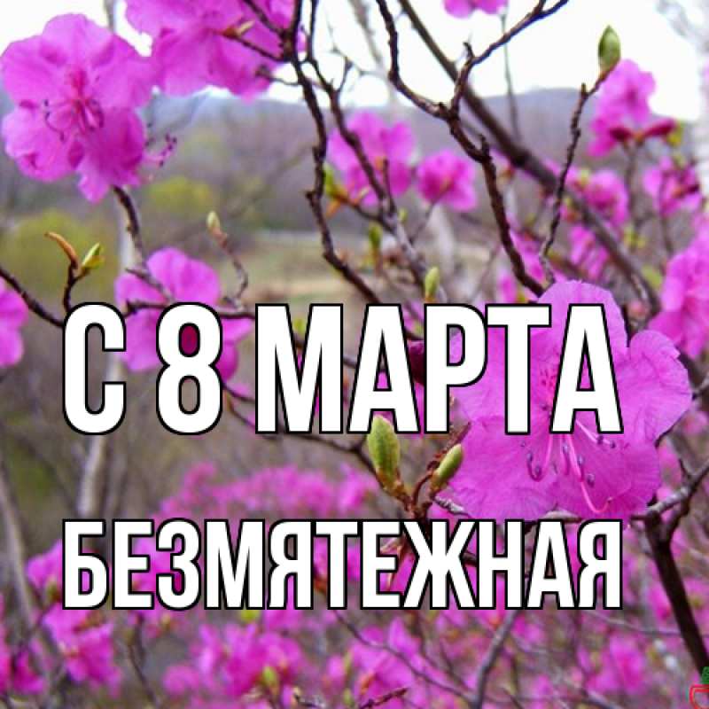 Картинка C 8 МАРТА, безмятежная
