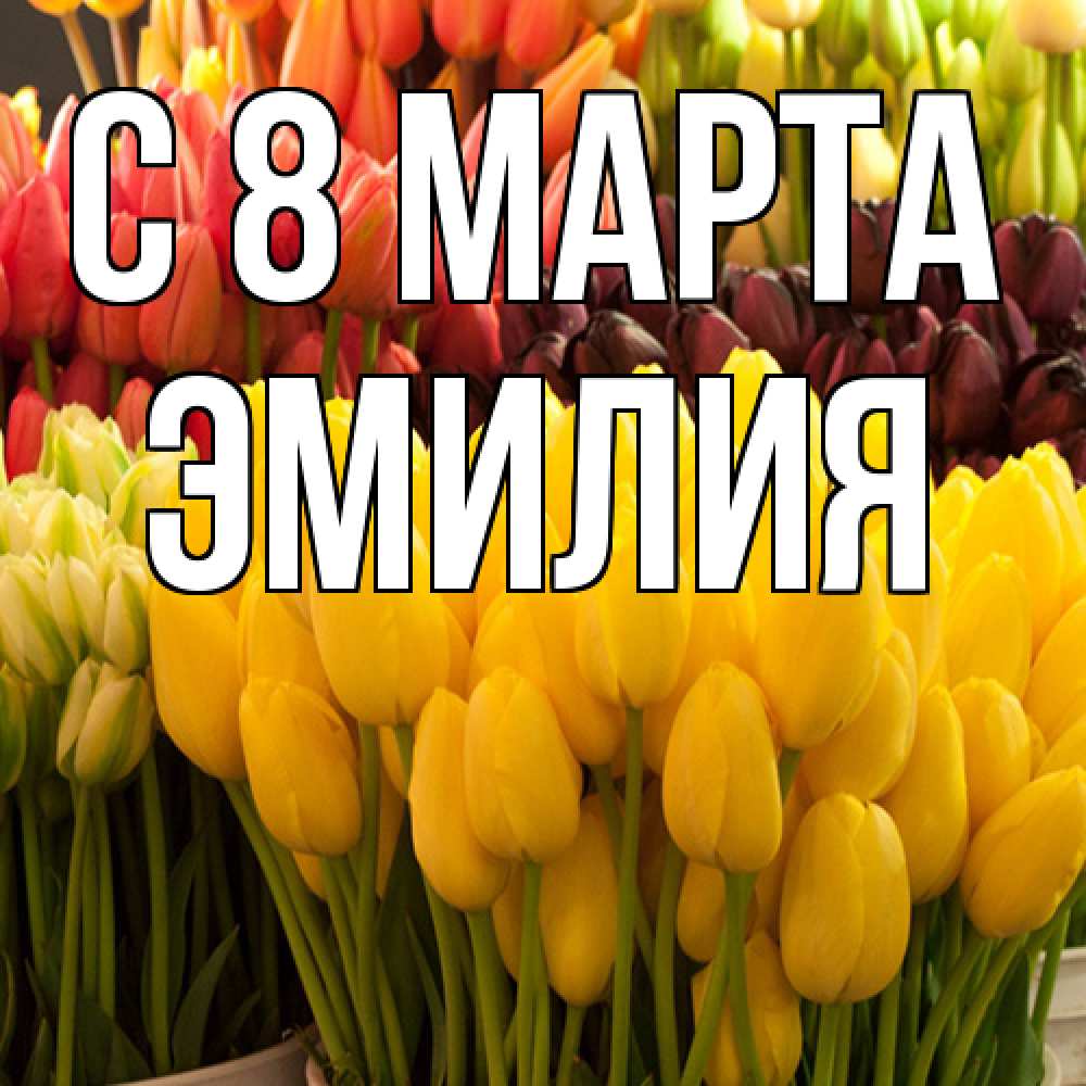 Открытка на каждый день с именем, Эмилия C 8 МАРТА цветы Прикольная открытка с пожеланием онлайн скачать бесплатно 