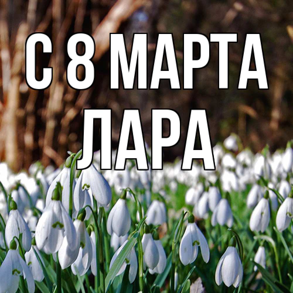 Открытка на каждый день с именем, Лара C 8 МАРТА с подснежниками 1 Прикольная открытка с пожеланием онлайн скачать бесплатно 