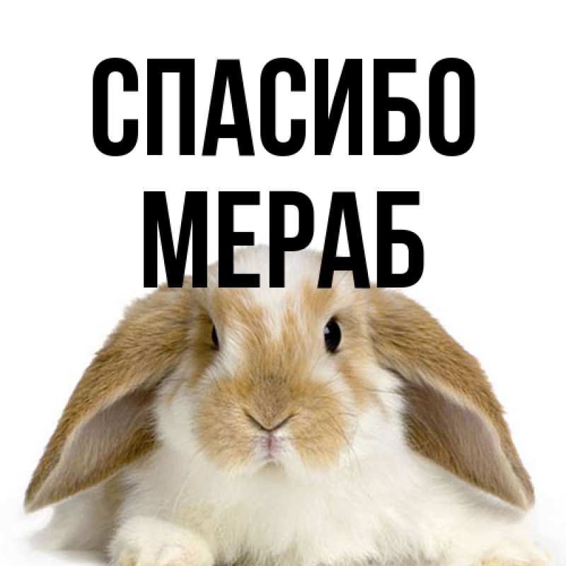 Картинка Спасибо, Мераб