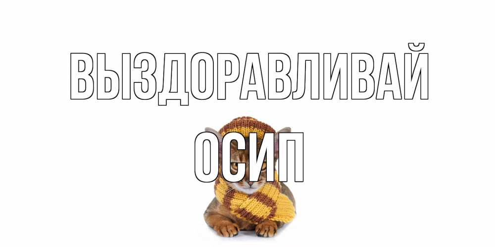 Открытка на каждый день с именем, Осип Выздоравливай родные не болейте Прикольная открытка с пожеланием онлайн скачать бесплатно 