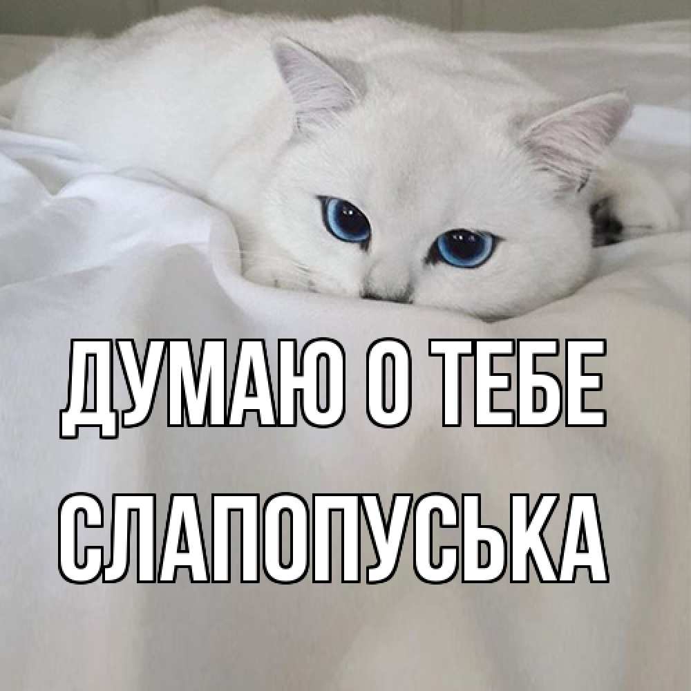 Открытка на каждый день с именем, слапопуська Думаю о тебе я очень по тебе скучаю и тоскую Прикольная открытка с пожеланием онлайн скачать бесплатно 