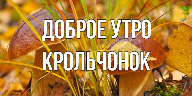 Картинка Доброе утро, Крольчонок