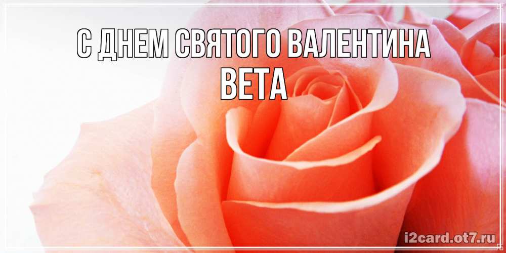 Открытка на каждый день с именем, Вета С днем Святого Валентина открытка на день Святого Валентина с розовой розой Прикольная открытка с пожеланием онлайн скачать бесплатно 