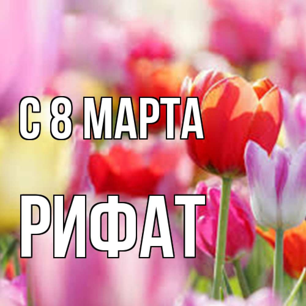 Открытка на каждый день с именем, Рифат C 8 МАРТА на международный женский день 2 Прикольная открытка с пожеланием онлайн скачать бесплатно 