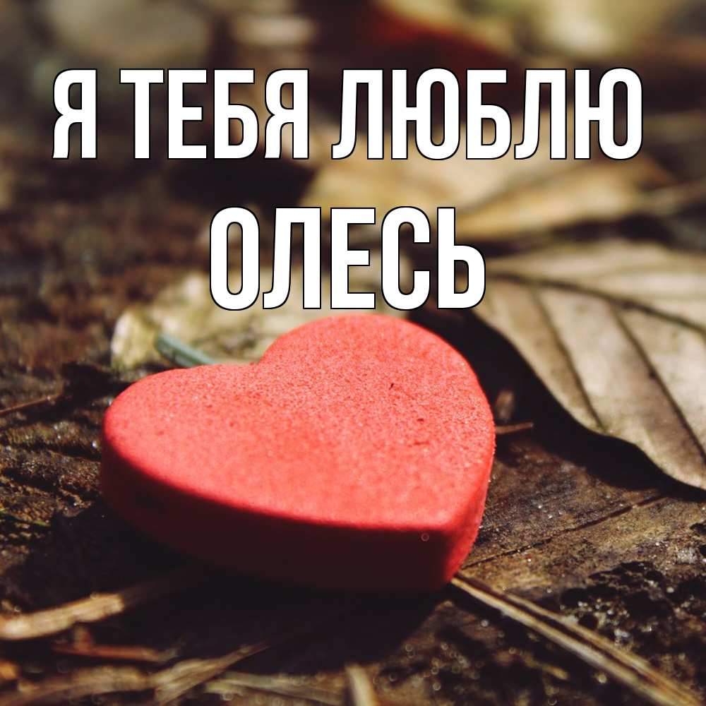 Открытка на каждый день с именем, Олесь Я тебя люблю листья деревье 4 Прикольная открытка с пожеланием онлайн скачать бесплатно 