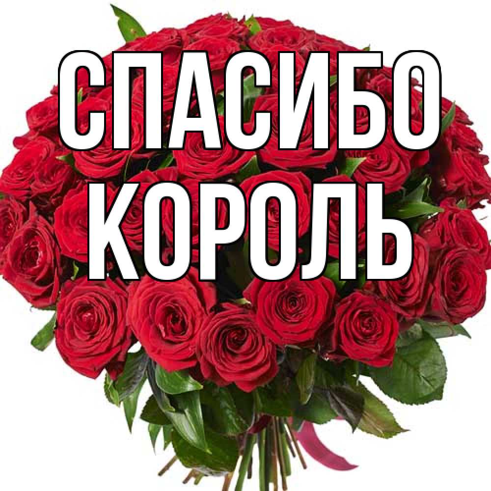 Открытка на каждый день с именем, Король Спасибо букет красных роз Прикольная открытка с пожеланием онлайн скачать бесплатно 