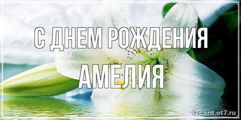 Картинка С днем рождения, Амелия