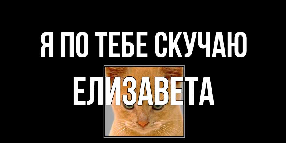 Открытка на каждый день с именем, Елизавета Я по тебе скучаю открытки рыжий котенок скучает по тебе Прикольная открытка с пожеланием онлайн скачать бесплатно 