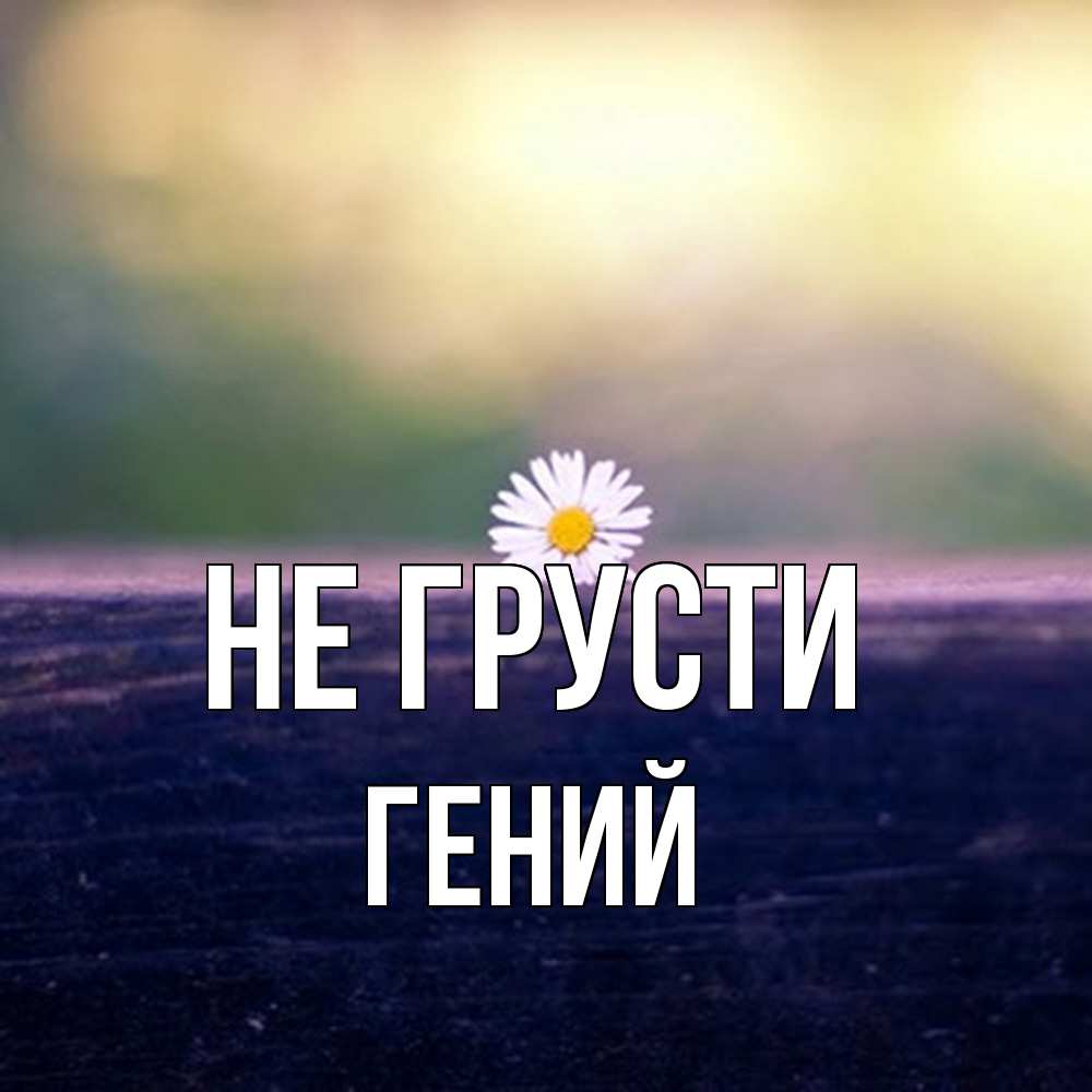 Открытка на каждый день с именем, Гений Не грусти красота Прикольная открытка с пожеланием онлайн скачать бесплатно 