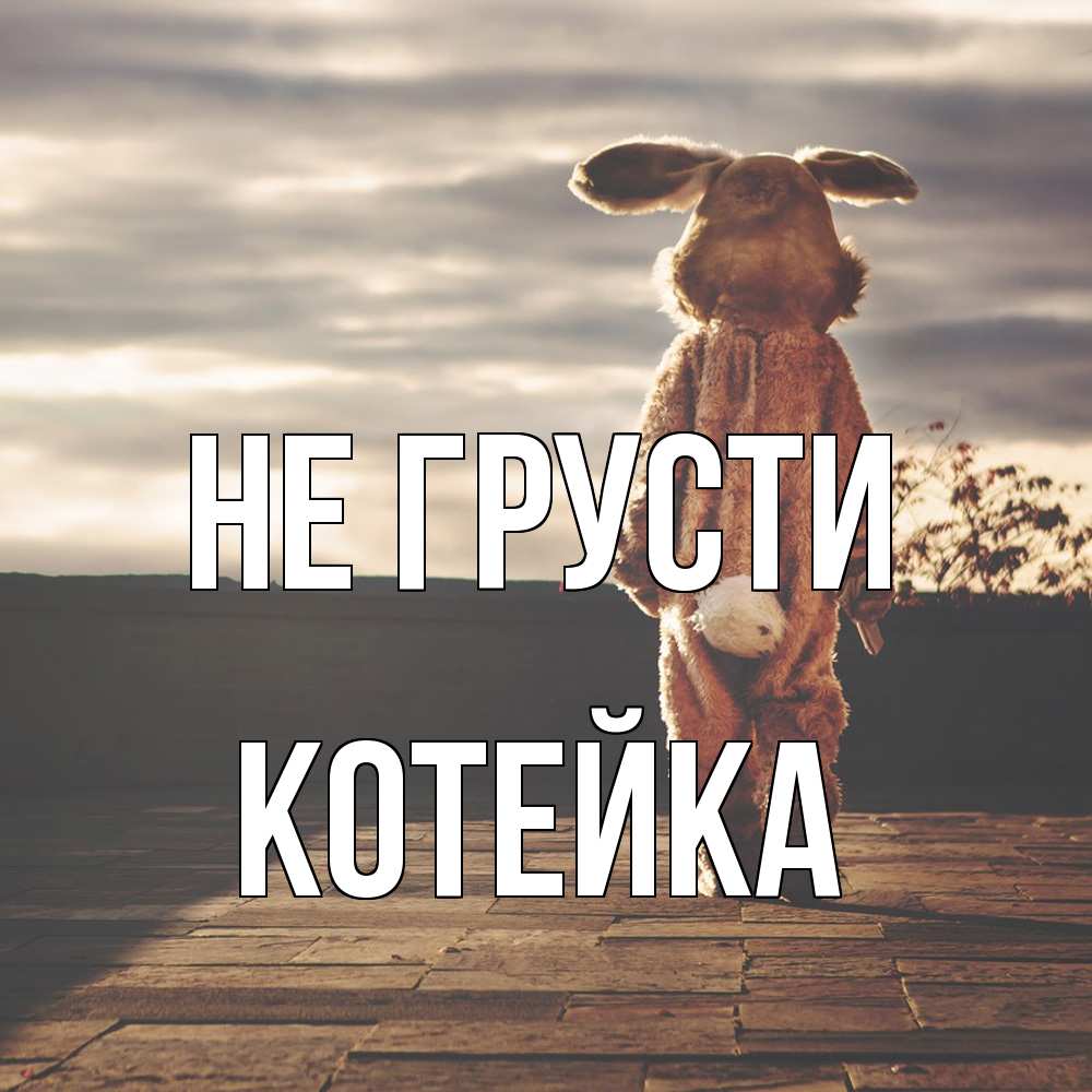 Открытка на каждый день с именем, Котейка Не грусти со спины Прикольная открытка с пожеланием онлайн скачать бесплатно 