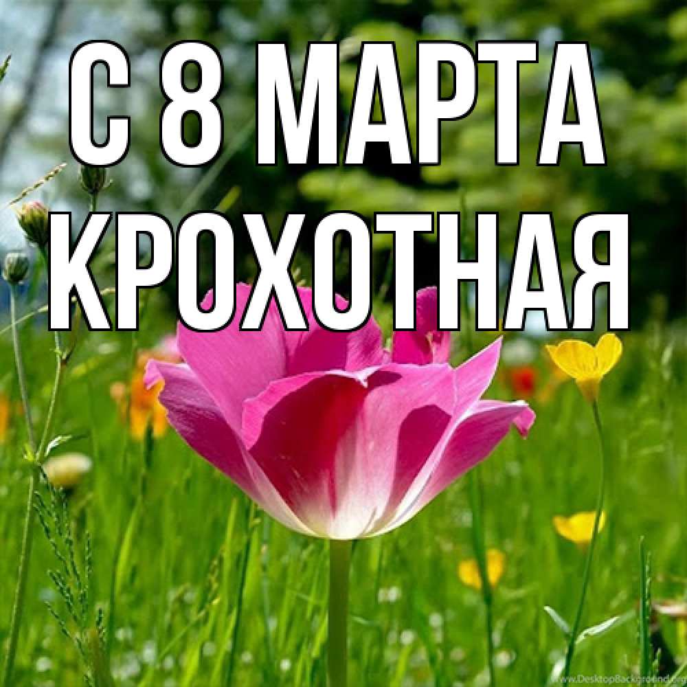 Открытка на каждый день с именем, Крохотная C 8 МАРТА полевые цветы Прикольная открытка с пожеланием онлайн скачать бесплатно 