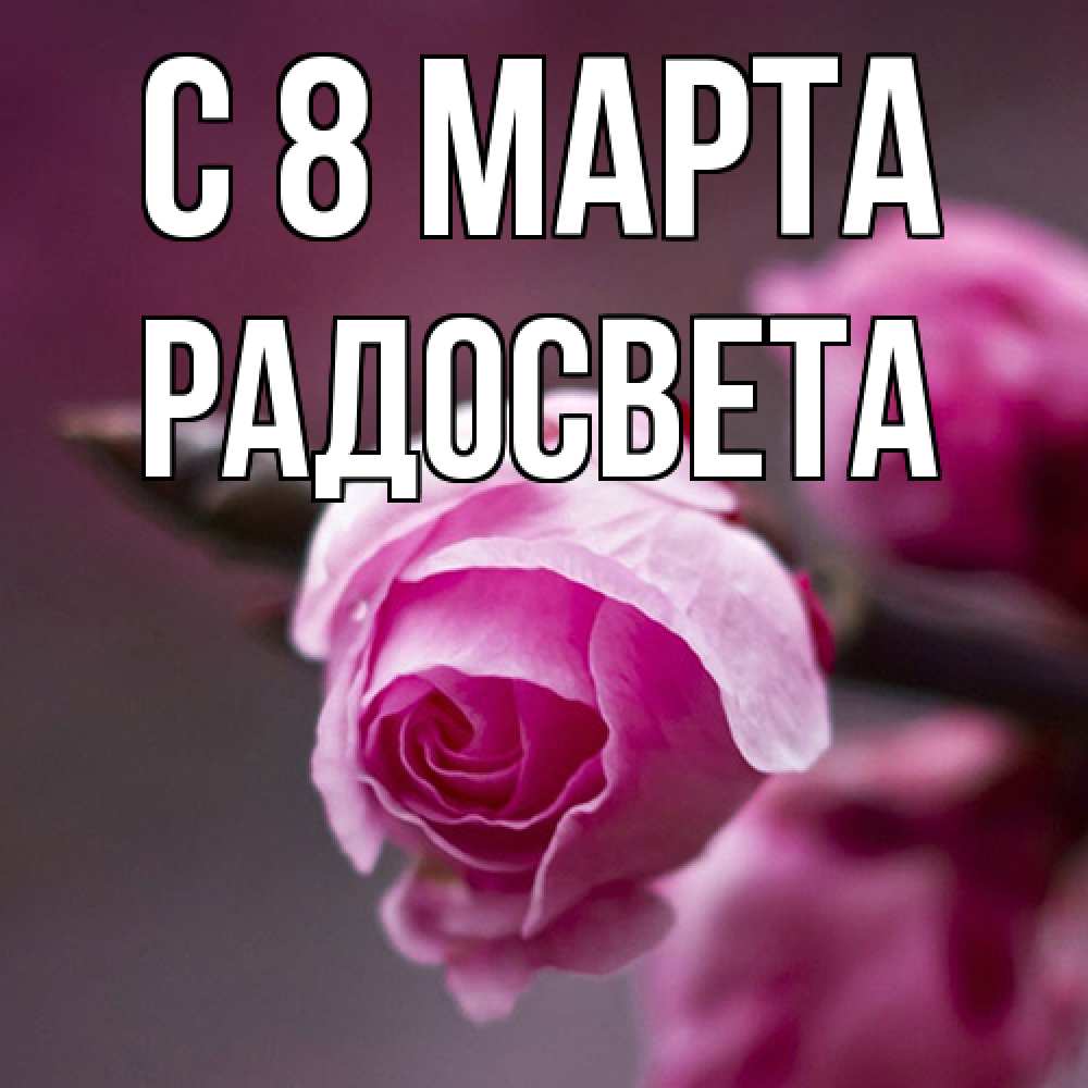 Открытка на каждый день с именем, Радосвета C 8 МАРТА весна Прикольная открытка с пожеланием онлайн скачать бесплатно 