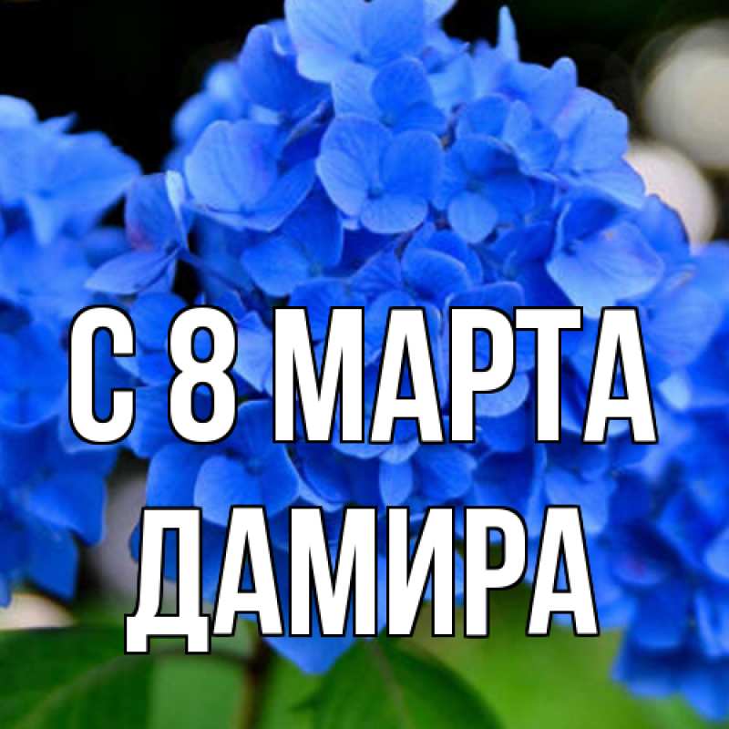 Открытка с именем, Дамира, C 8 МАРТА