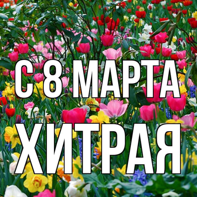 Картинка C 8 МАРТА, хитрая
