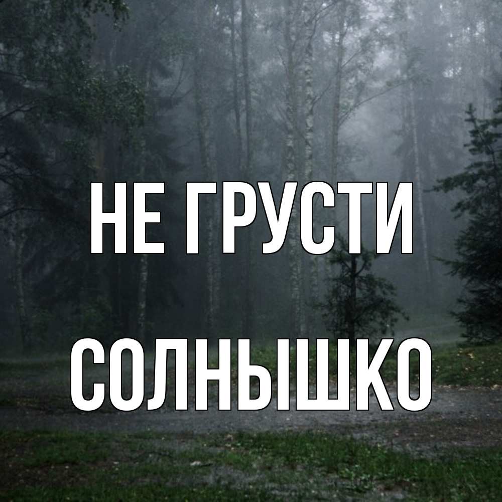 Открытка на каждый день с именем, Солнышко Не грусти осень Прикольная открытка с пожеланием онлайн скачать бесплатно 