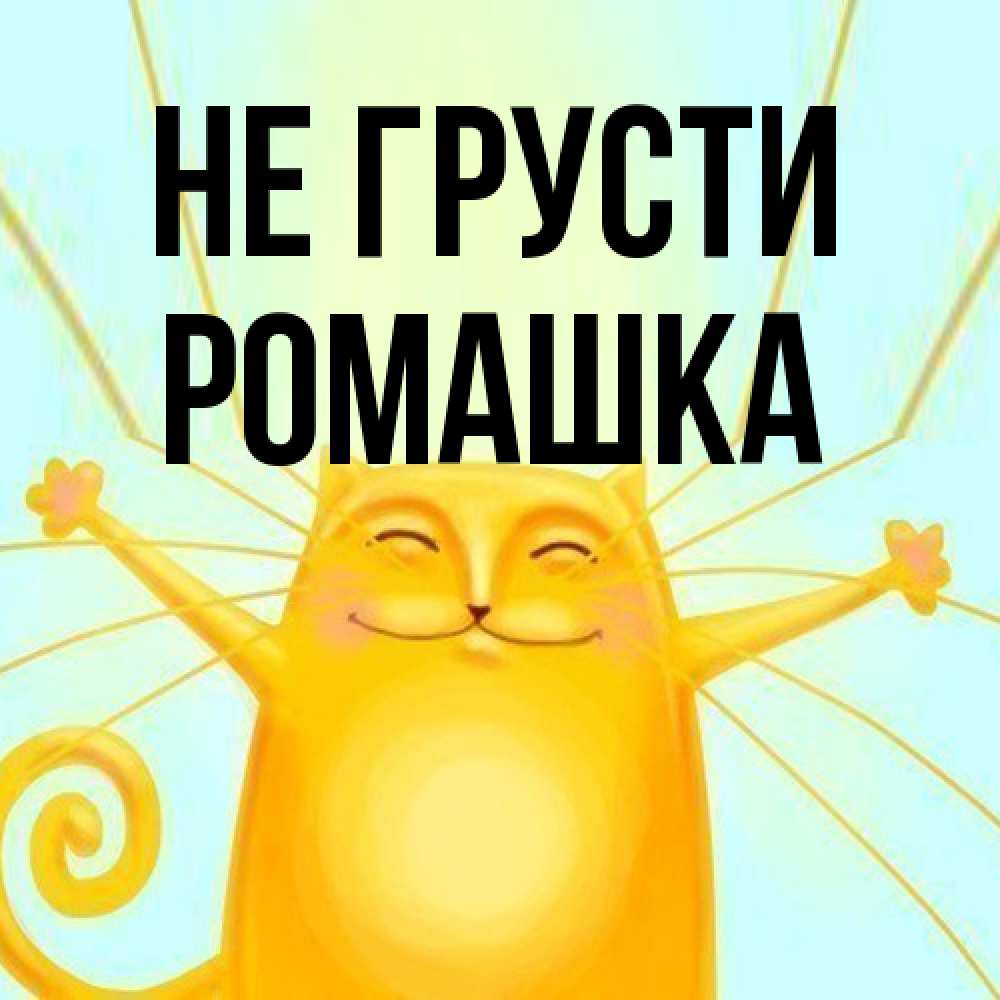 Открытка на каждый день с именем, Ромашка Не грусти обнимашки усатые Прикольная открытка с пожеланием онлайн скачать бесплатно 