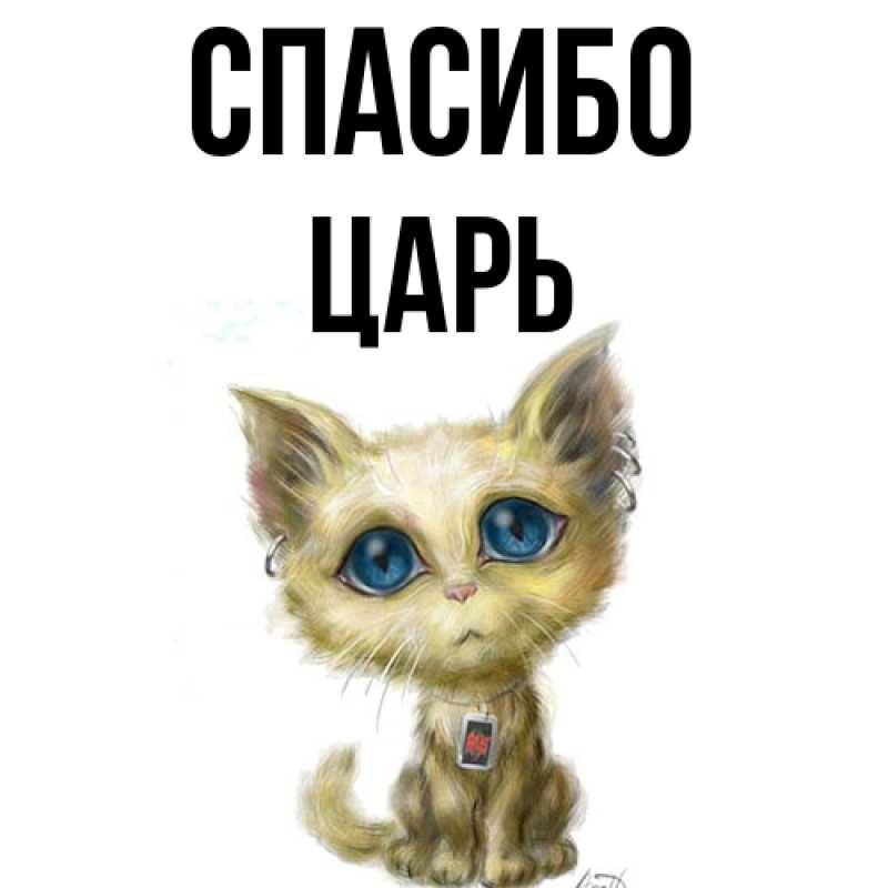 Картинка Спасибо, Царь