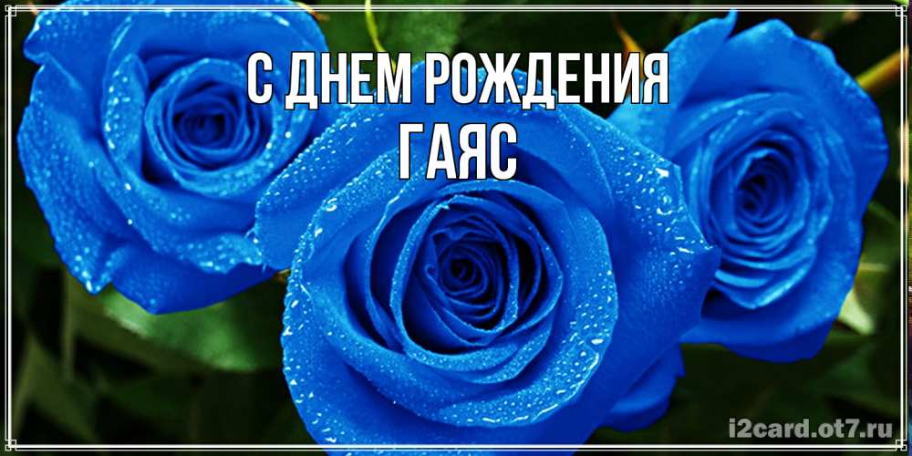 Открытка на каждый день с именем, Гаяс С днем рождения розы с синим цветом Прикольная открытка с пожеланием онлайн скачать бесплатно 