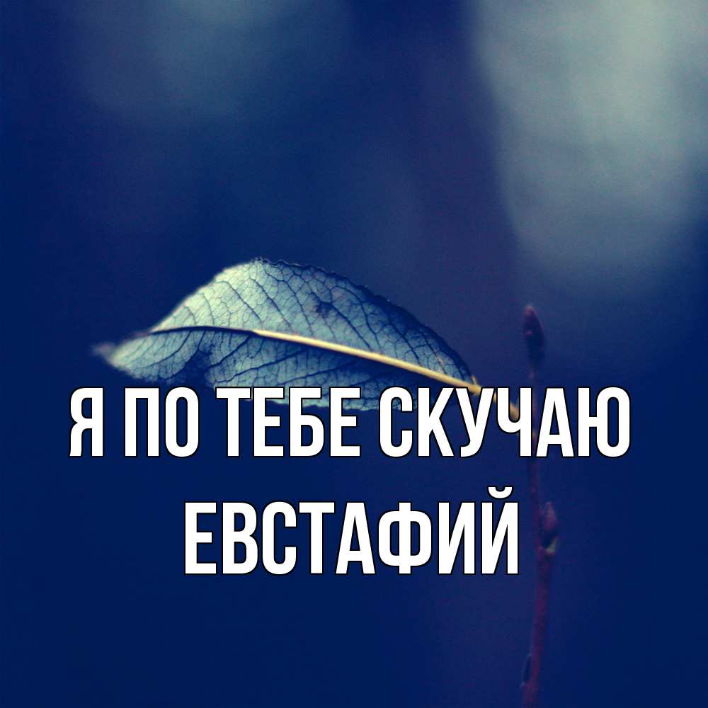 Открытка на каждый день с именем, Евстафий Я по тебе скучаю одна ветка 1 Прикольная открытка с пожеланием онлайн скачать бесплатно 