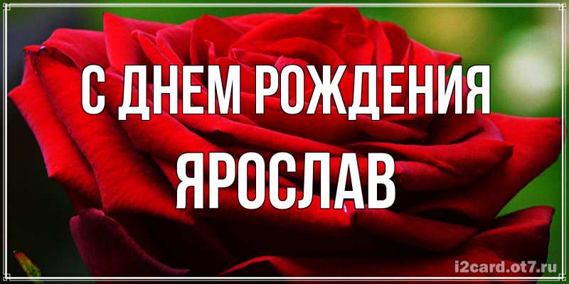 Картинка С днем рождения, Ярослав