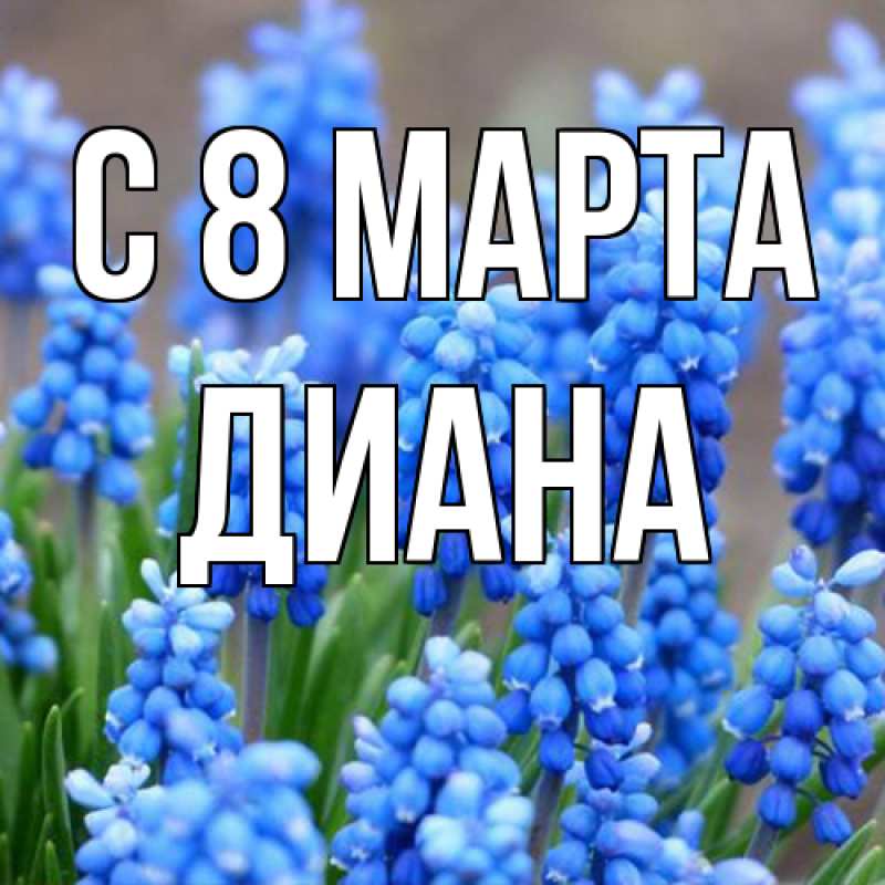 Картинка C 8 МАРТА, Диана