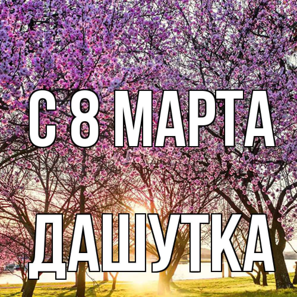 Открытка на каждый день с именем, Дашутка C 8 МАРТА международный женский день Прикольная открытка с пожеланием онлайн скачать бесплатно 