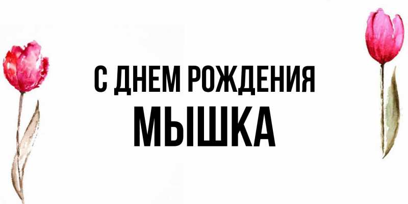 Картинка С днем рождения, Мышка