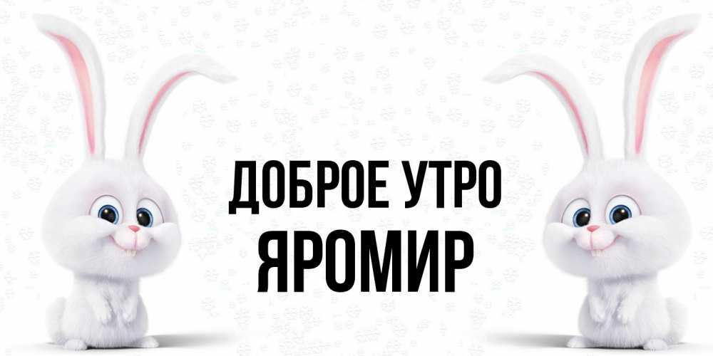 Открытка на каждый день с именем, Яромир Доброе утро кролики с длинными ушками Прикольная открытка с пожеланием онлайн скачать бесплатно 
