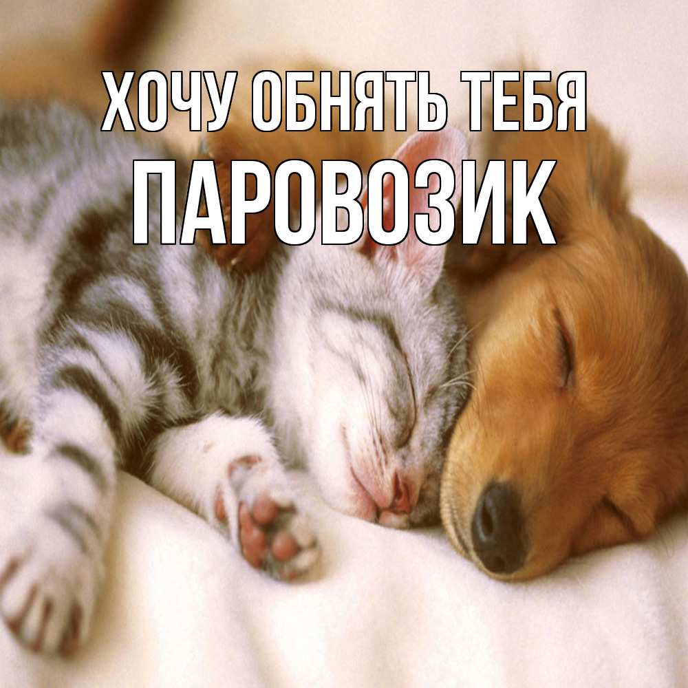 Открытка на каждый день с именем, паровозик Хочу обнять тебя пес и котенок Прикольная открытка с пожеланием онлайн скачать бесплатно 