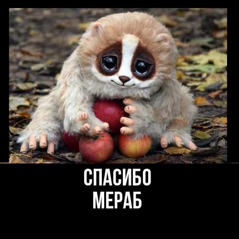 Картинка Спасибо, Мераб