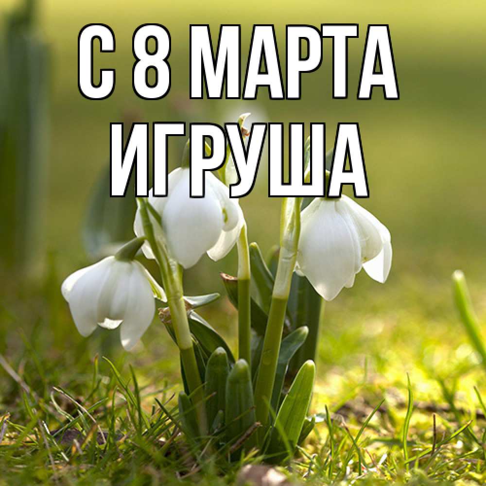 Открытка на каждый день с именем, Игруша C 8 МАРТА ранние цветы 2 Прикольная открытка с пожеланием онлайн скачать бесплатно 
