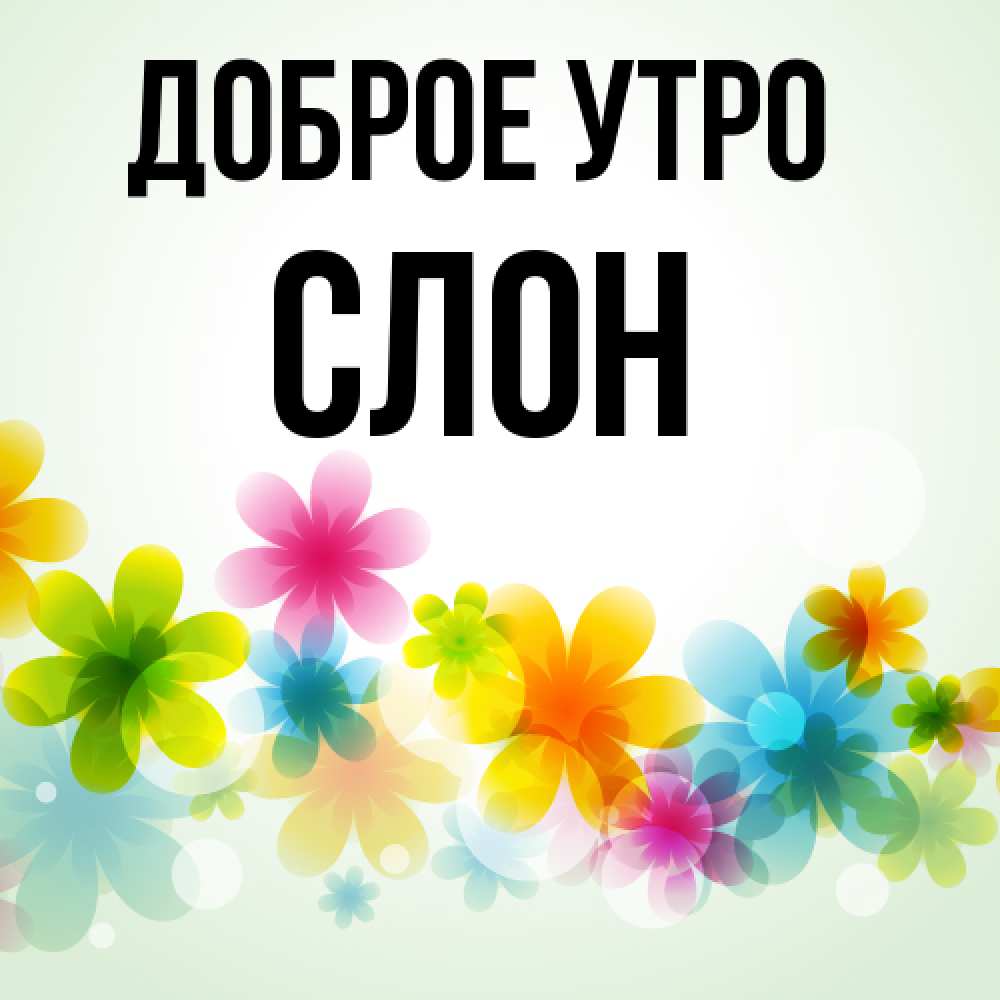 Открытка на каждый день с именем, Слон Доброе утро позитивные цветочки Прикольная открытка с пожеланием онлайн скачать бесплатно 