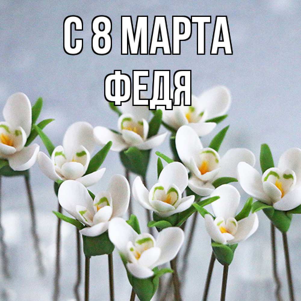 Открытка на каждый день с именем, Федя C 8 МАРТА весенние цветы Прикольная открытка с пожеланием онлайн скачать бесплатно 