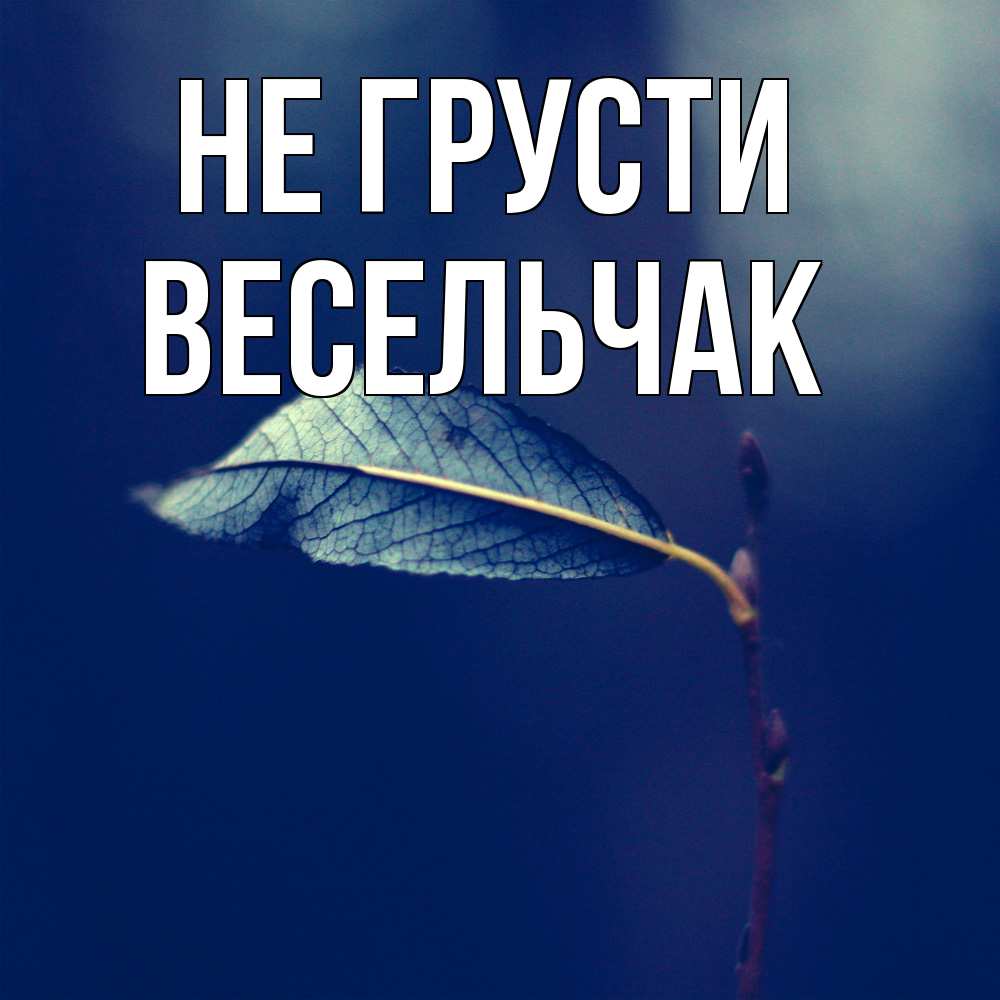 Открытка на каждый день с именем, Весельчак Не грусти растение Прикольная открытка с пожеланием онлайн скачать бесплатно 