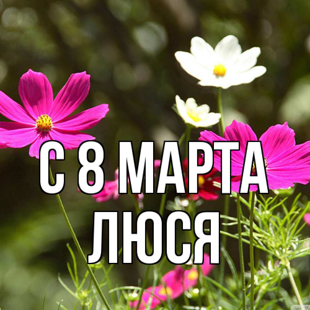 Открытка на каждый день с именем, Люся C 8 МАРТА цветы Прикольная открытка с пожеланием онлайн скачать бесплатно 