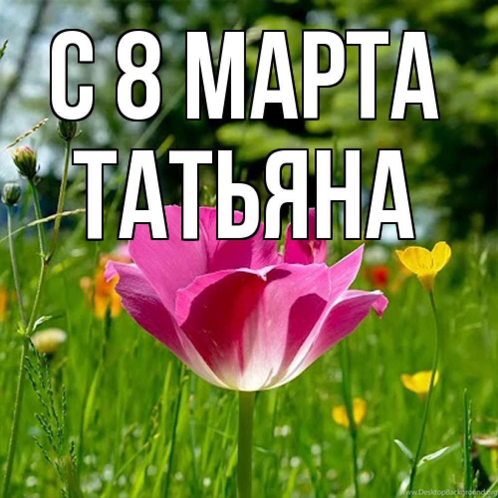 Открытка на каждый день с именем, Татьяна C 8 МАРТА полевые цветы Прикольная открытка с пожеланием онлайн скачать бесплатно 