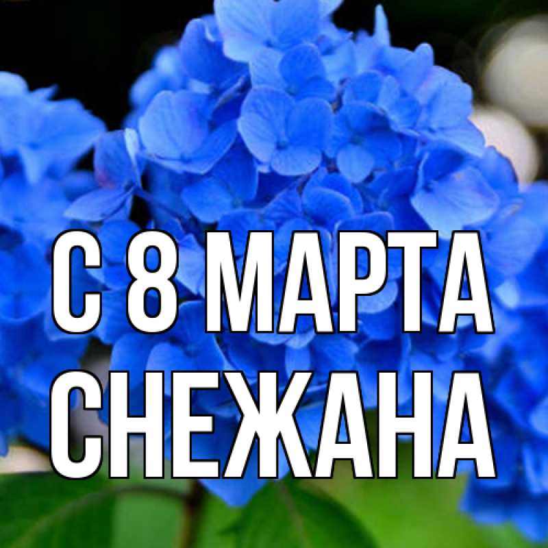 Картинка C 8 МАРТА, Снежана