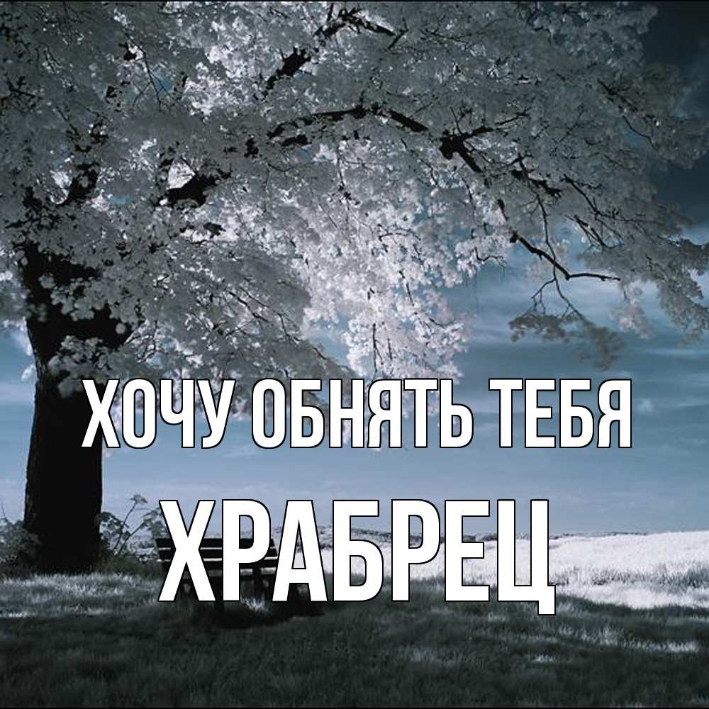 Открытка на каждый день с именем, Храбрец Хочу обнять тебя дерево Прикольная открытка с пожеланием онлайн скачать бесплатно 