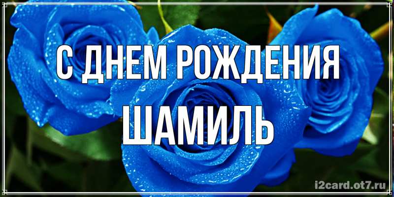 Картинка С днем рождения, Шамиль