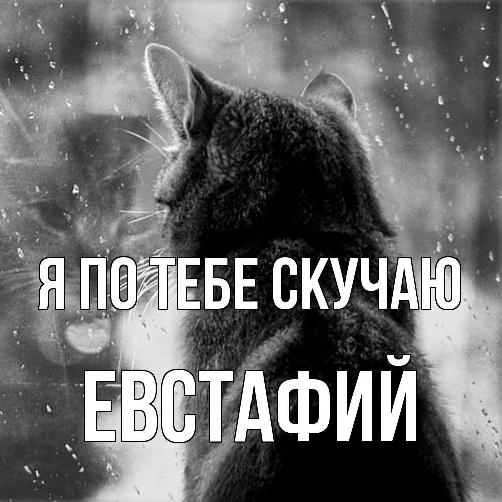 Открытка на каждый день с именем, Евстафий Я по тебе скучаю скорее ко мне приходи 1 Прикольная открытка с пожеланием онлайн скачать бесплатно 
