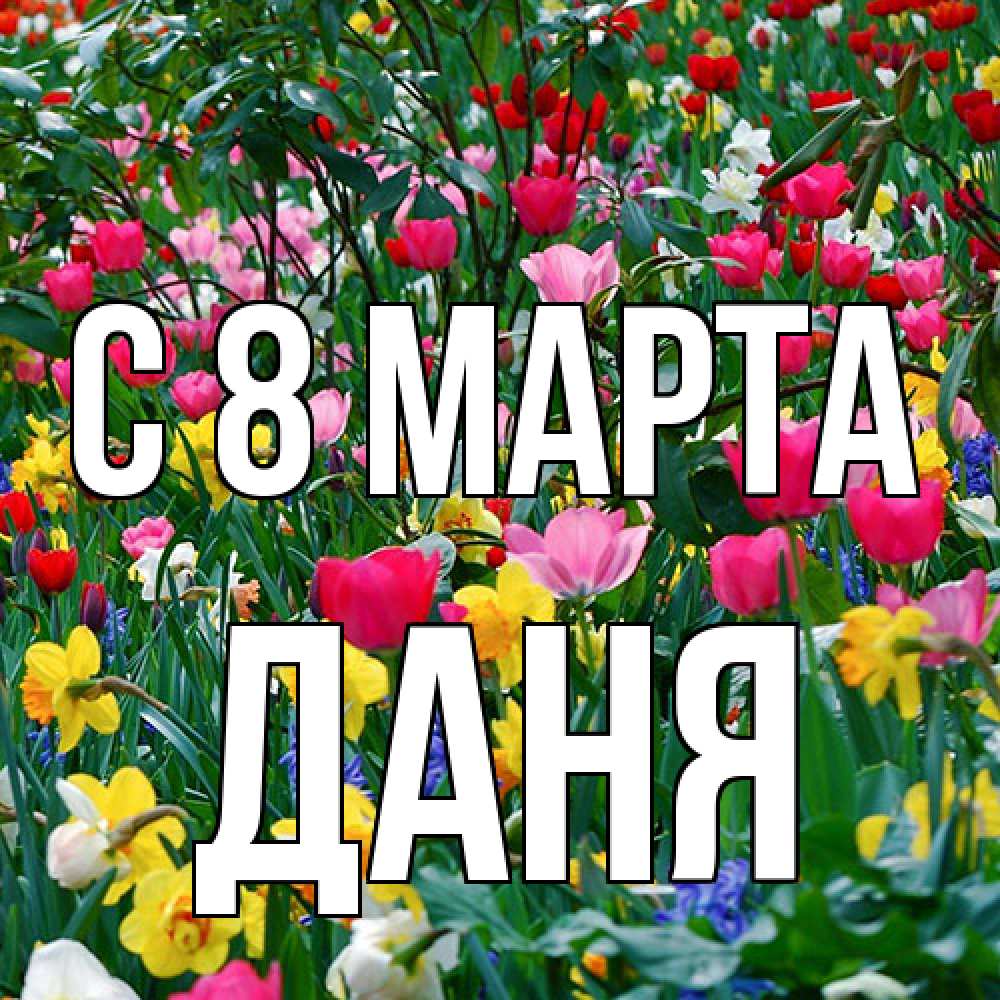 Открытка на каждый день с именем, Даня C 8 МАРТА с международным женским днем поздравления для женщины Прикольная открытка с пожеланием онлайн скачать бесплатно 