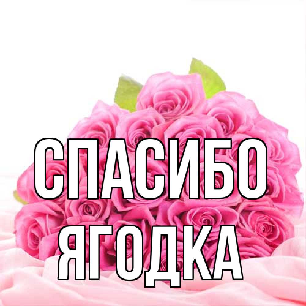 Открытка на каждый день с именем, ягодка Спасибо розовые розы с подписью Прикольная открытка с пожеланием онлайн скачать бесплатно 