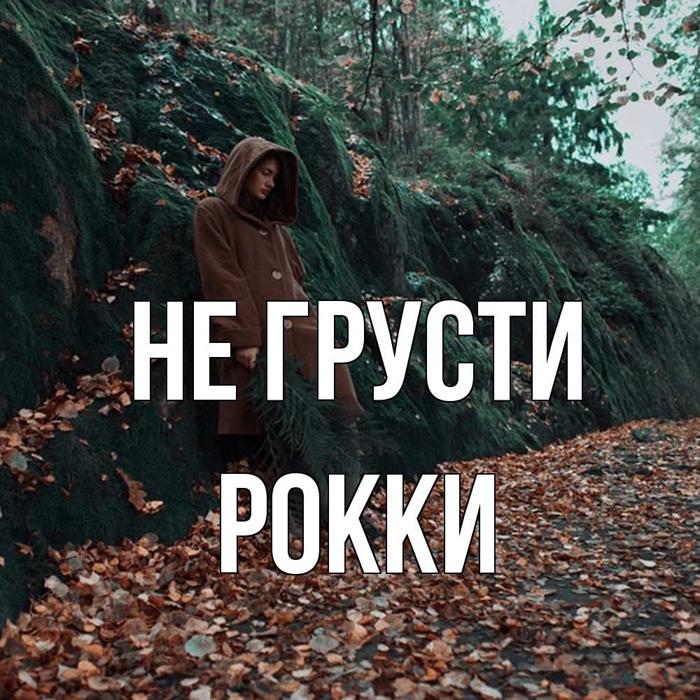 Открытка на каждый день с именем, Рокки Не грусти осенний лес Прикольная открытка с пожеланием онлайн скачать бесплатно 