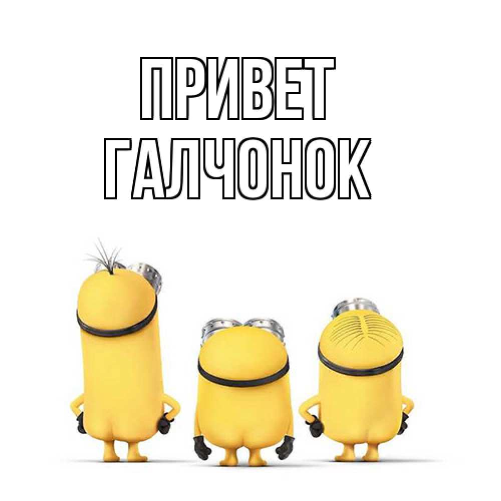 Открытка на каждый день с именем, галчонок Привет приветики Прикольная открытка с пожеланием онлайн скачать бесплатно 