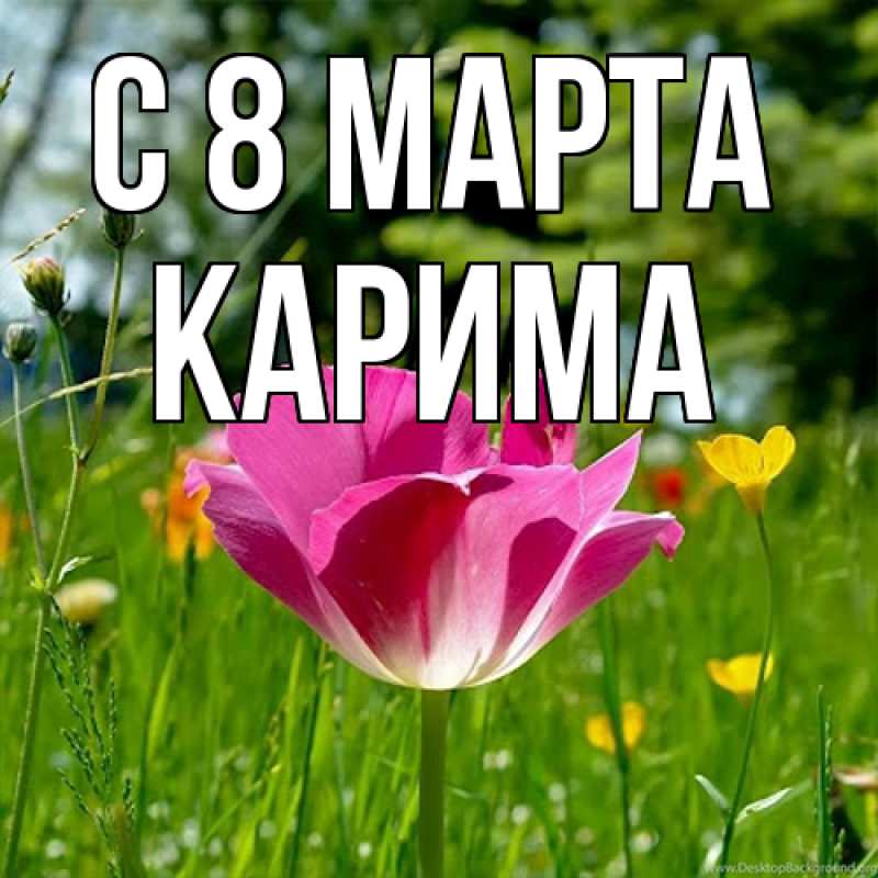 Картинка C 8 МАРТА, Карима