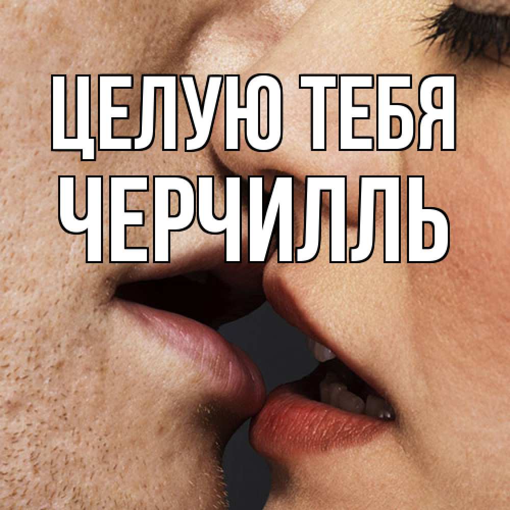 Открытка на каждый день с именем, Черчилль Целую тебя поцелуй с подписью Прикольная открытка с пожеланием онлайн скачать бесплатно 