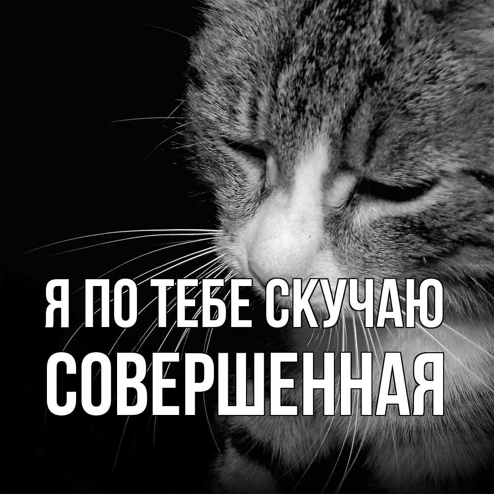 Открытка на каждый день с именем, Совершенная Я по тебе скучаю мне скучно Прикольная открытка с пожеланием онлайн скачать бесплатно 