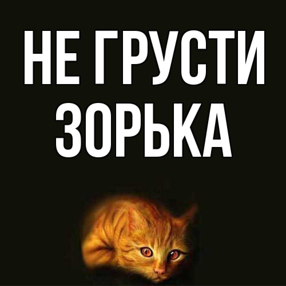 Открытка на каждый день с именем, Зоpька Не грусти лежащий кот в темноте Прикольная открытка с пожеланием онлайн скачать бесплатно 